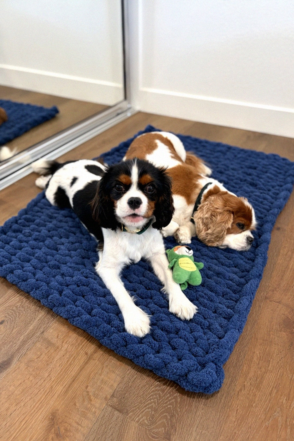 Why Chenille Is Perfect for Pet Owners