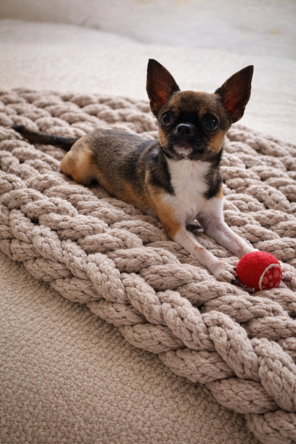 Taupe chunky chenille knit blanket 24x30 styled on neutral close texture