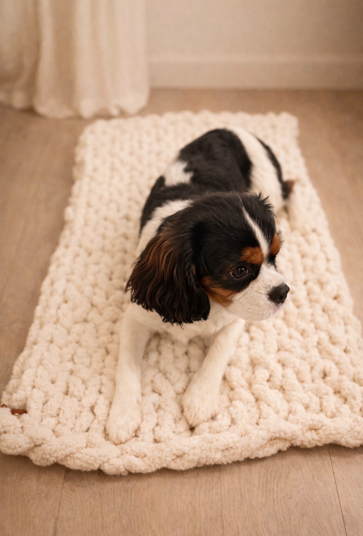 Taupe chunky chenille knit blanket 30x40 styled on neutral sofa styling